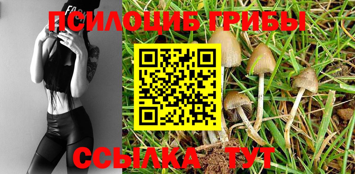 Псилоцибиновые грибы Magic Shrooms Кингисепп