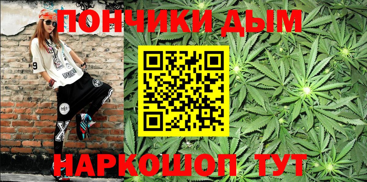 Бошки марихуана сатива Кингисепп